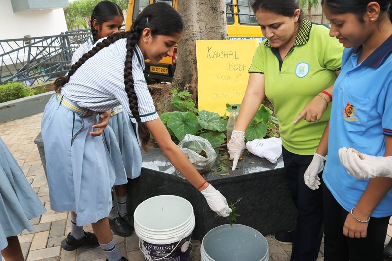 Activity on Preparation of Organic Pesticide